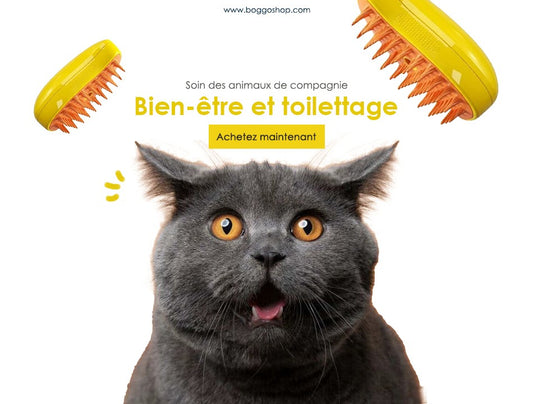 Vapobrosse™ anti-poils à vapeur pour chats